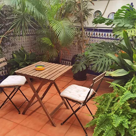 Carabeo Vista Mar ネルハ